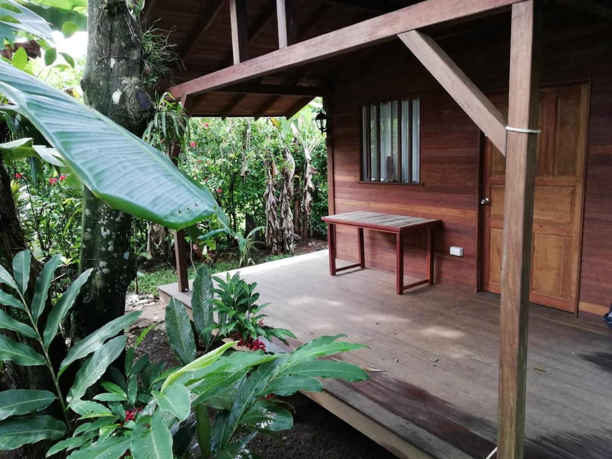 La Tarima Del Colibri Ecolodge El Valle  Exterior foto