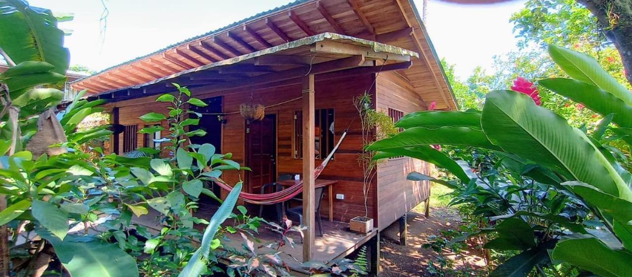 La Tarima Del Colibri Ecolodge El Valle  Exterior foto