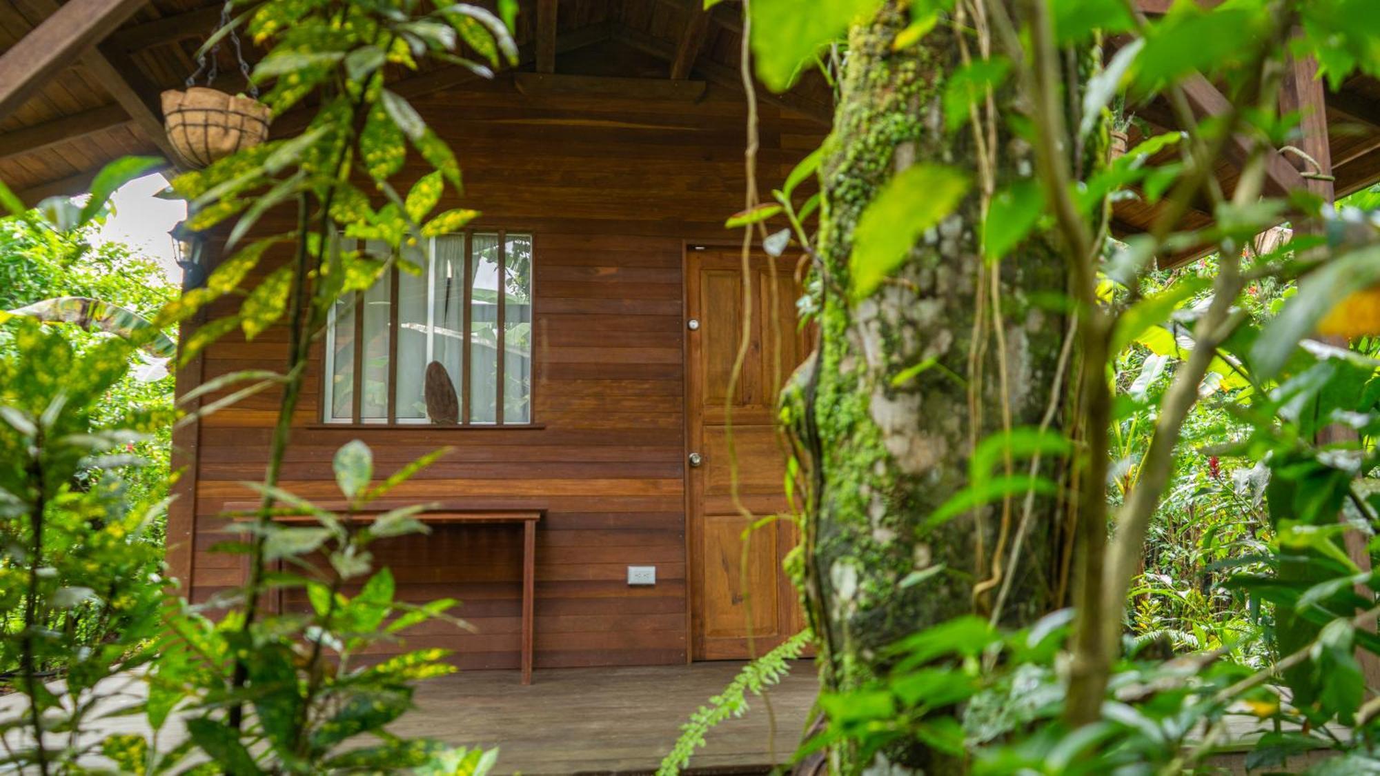 La Tarima Del Colibri Ecolodge El Valle  Exterior foto