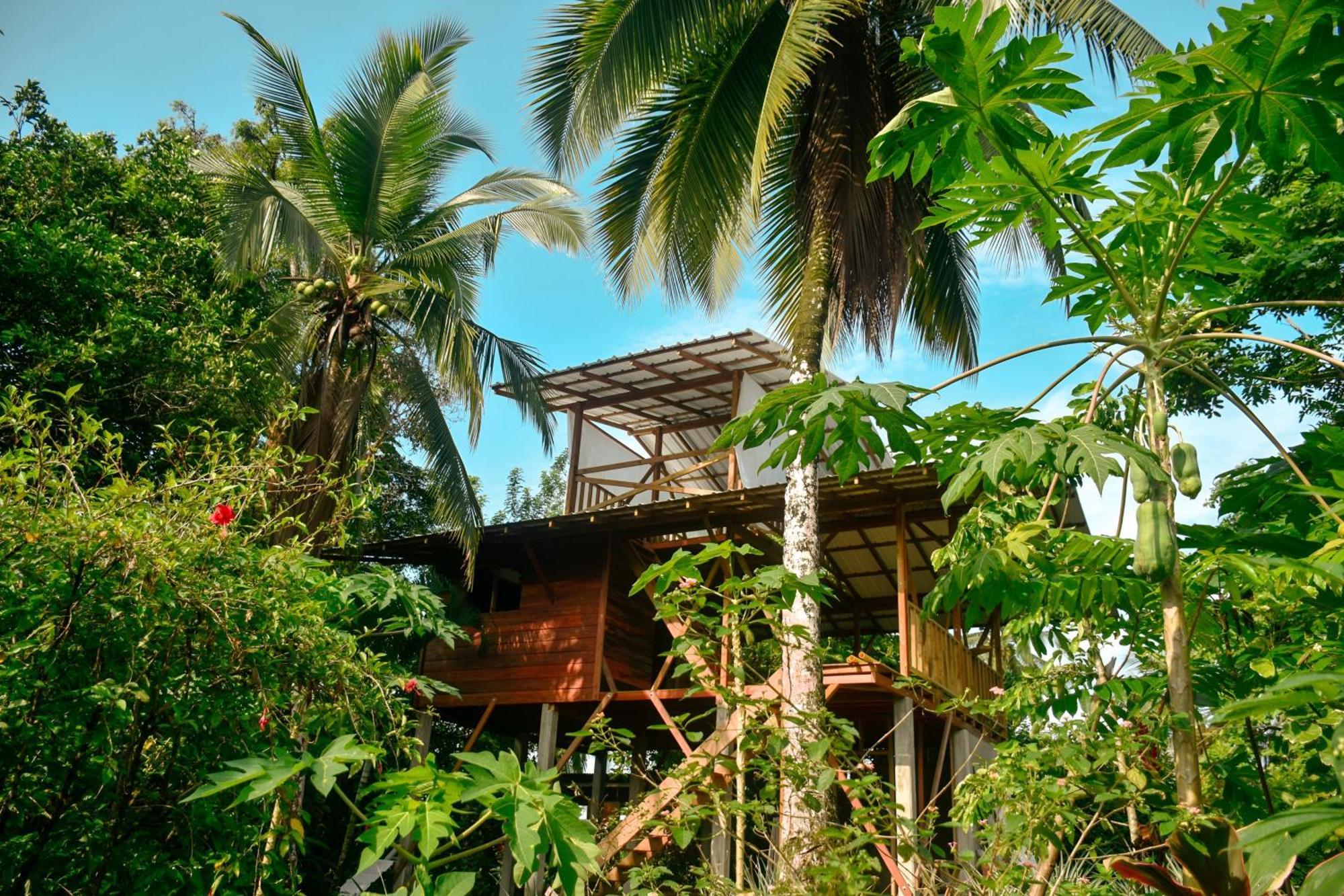 La Tarima Del Colibri Ecolodge El Valle  Exterior foto